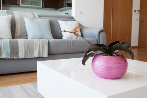 1-bedroom apartment, with outdoor area - Gallery - 1