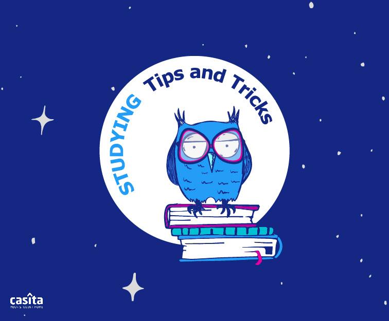 Studying at Night: Night Owls Studying Tips and Tricks