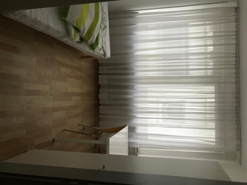 Sunny single-bedroom in a 7-bedroom apartment in Bremen Altstadt, next to Wallanlagen Park