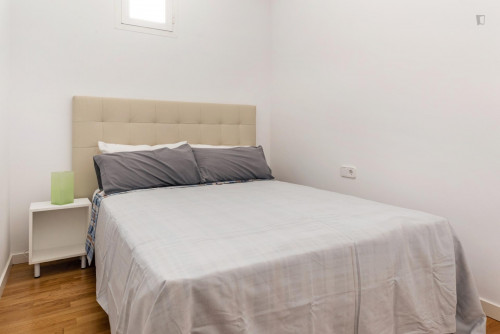 DUPLEX 2 HABITACIONES LAVAPIES - 2