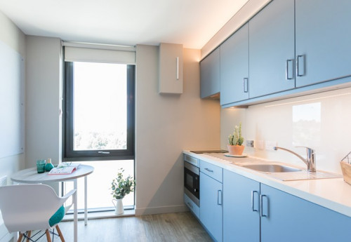  Silver Studio  -  Caton Court  - Gallery -  6