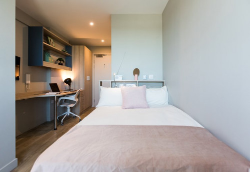  Silver Studio  -  Caton Court  - Gallery -  1