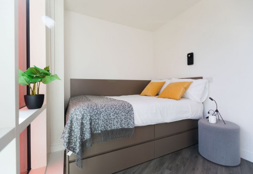  Platinum Plus Studio  -  Arbury Court Kingston  - Gallery -  1