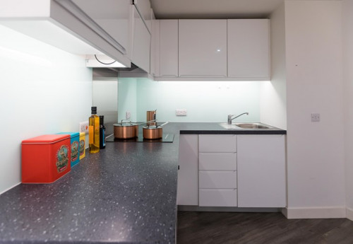  Platinum Plus Studio  -  Arbury Court  - Gallery -  5