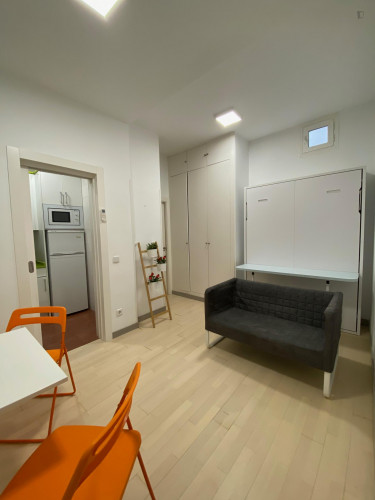 Well-located studio in Lavapiés, central Madrid  - Gallery -  2