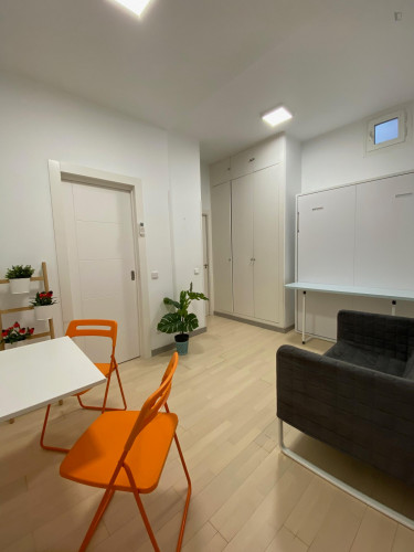 Well-located studio in Lavapiés, central Madrid  - Gallery -  3