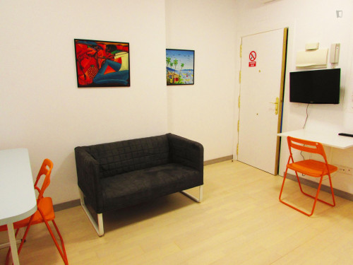  Well-Located Studio In Lavapiés, Central Madrid  -  Well-located studio in Lavapiés, central Madrid  - Gallery -  2