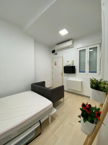  Well-Located Studio In Lavapiés, Central Madrid  -  Well-located studio in Lavapiés, central Madrid  - Gallery -  1