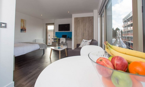  Premium Plus Studio  -  Northgate Point  - Gallery -  3