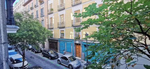 Comfortable double bedroom near Antón Martin metro station - Gallery - 39