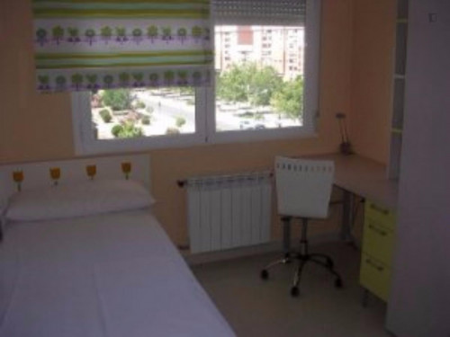  Single Room In A 3 Bedroom Apartment  -  Single Room in a 3 bedroom apartment  - Gallery -  1