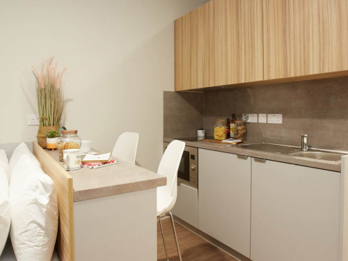  Bronze Studio  -  Gulson Gardens  - Gallery -  3