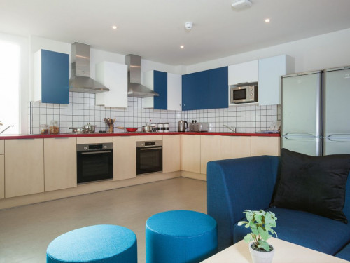  Silver En Suite  -  هاي لايت بارك جيت  - Gallery -  4