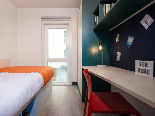  Gold En Suite  -  هاي لايت بارك جيت  - Gallery -  1