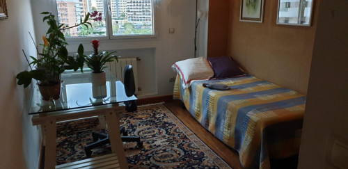  Cool Single Bedroom Near Playa Albufereta  -  Cool single bedroom near Playa Albufereta  - Gallery -  1