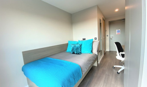  En-Suite Bronze  -  Little Patrick Street  - Gallery -  7
