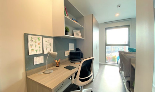  En-Suite Bronze  -  Little Patrick Street  - Gallery -  6