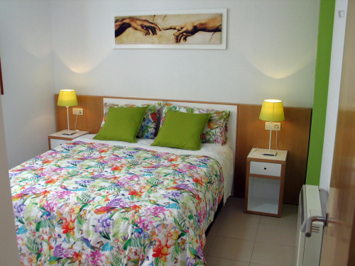  Gorgeous 1-Bedroom Apartment Near The Plaza De Anaya  -  Gorgeous 1-bedroom apartment near the Plaza de Anaya  - Gallery -  2