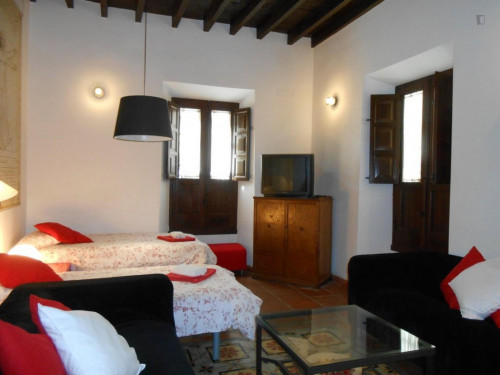  Charismatic 1-Bedroom Apartment Near The Facultad De Derecho  -  Charismatic 1-bedroom apartment near the Facultad de Derecho  - Gallery -  1
