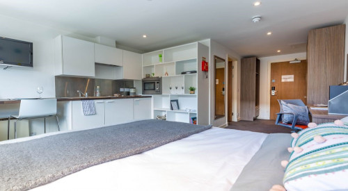  Large Studio  -  Gallery Apartments  - Gallery -  1