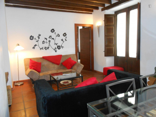  Amazing 2-Bedroom Apartment In The Classic Centre Of Granada  -  Amazing 2-bedroom apartment in the classic centre of Granada  - Gallery -  2