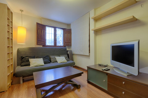  Very Cool 1-Bedroom Duplex Near The Alhambra  -  Very cool 1-bedroom duplex near the Alhambra  - Gallery -  1