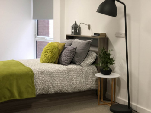  Penthouse Studio  -  Q Studios  - Gallery -  1