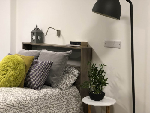  Penthouse Studio  -  Q Studios  - Gallery -  3