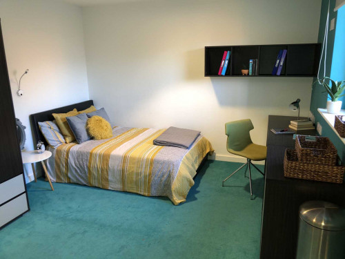  Premier Luxe Studio  -  Plato House  - Gallery -  1