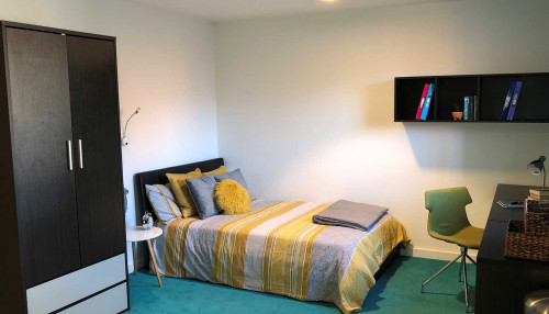  Premier Luxe Studio  -  Plato House  - Gallery -  3
