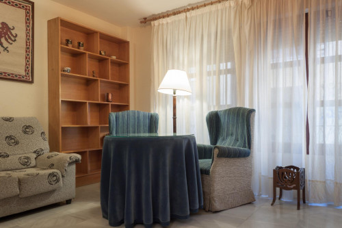  1-Bedroom Apartment Close To Universidad De Granada  -  1-bedroom apartment close to Universidad de Granada  - Gallery -  2