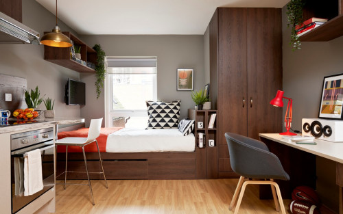  Banks Studio (Limited)  -  Student Castle Lincoln  - Gallery -  1