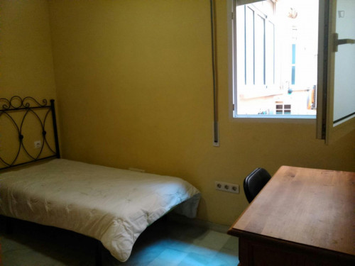  Single Bedroom In A 4-Bedroom Apartment 15' Walking From Campus Universitario  -  Single bedroom in a 4-bedroom apartment 15' walking from Campus Universitario  - Gallery -  1