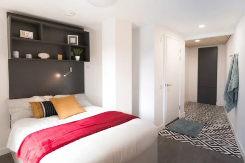  Gold En-Suite  -  AXO Paradise Student Village  - Gallery -  5