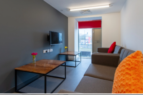  Gold En-Suite  -  AXO Paradise Student Village  - Gallery -  3