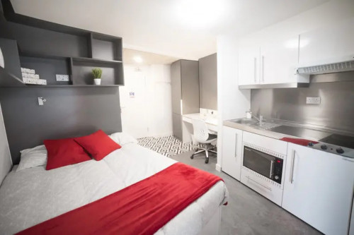  Platinum Studio (Accessible)  -  AXO Paradise Student Village  - Gallery -  3