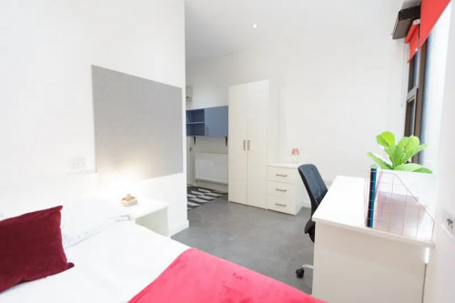  Silver En-Suite (Accessible)  -  AXO New Cross  - Gallery -  5