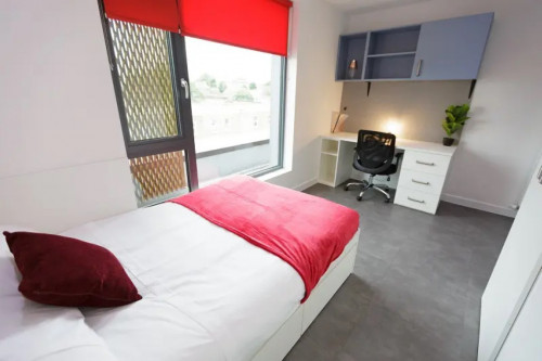  Silver Studio  -  AXO New Cross  - Gallery -  3