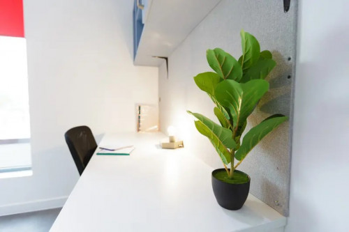  Silver Studio  -  AXO New Cross  - Gallery -  2