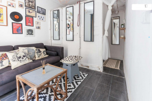  Montmartre Hausmanian Appartment -Private Bedroom And Private Living Room  -  Montmartre hausmanian appartment -private bedroom and private living room  - Gallery -  2