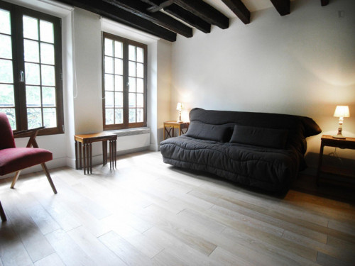  Spacious Studio Apartment In St Victor  -  Spacious studio apartment in St Victor  - Gallery -  2