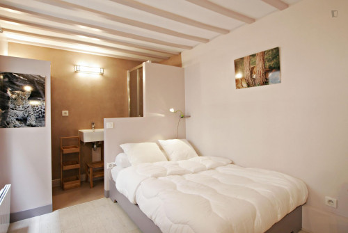 Cosy Studio Near Arts Et Métiers Metro Station - 2