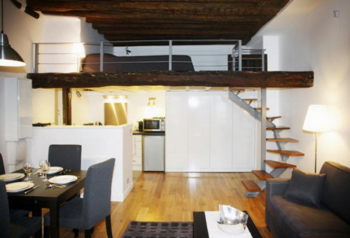  Open-Plan Studio In The Heart Of Paris  -  Open-plan studio in the heart of Paris  - Gallery -  2