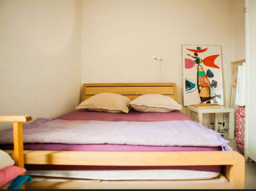  Magnificent Double Bedroom Near ESCP Europe Paris Campus  -  Magnificent double bedroom near ESCP Europe Paris Campus  - Gallery -  1