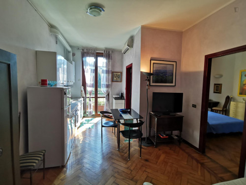 1 Bedroom 1 Bath apartement near Piazza Tricolore MM4 e Palestro MM1 - Gallery - 10