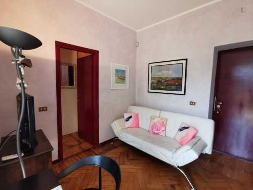 1 Bedroom 1 Bath apartement near Piazza Tricolore MM4 e Palestro MM1 - Gallery - 8