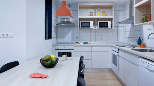 Superior Single In Apartment - 5