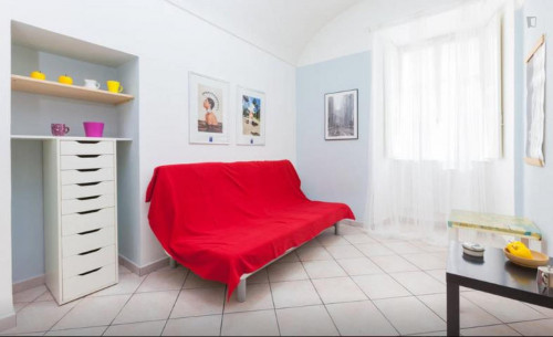  Comfortable Studio In Aurora  -  Comfortable studio in Aurora  - Gallery -  2