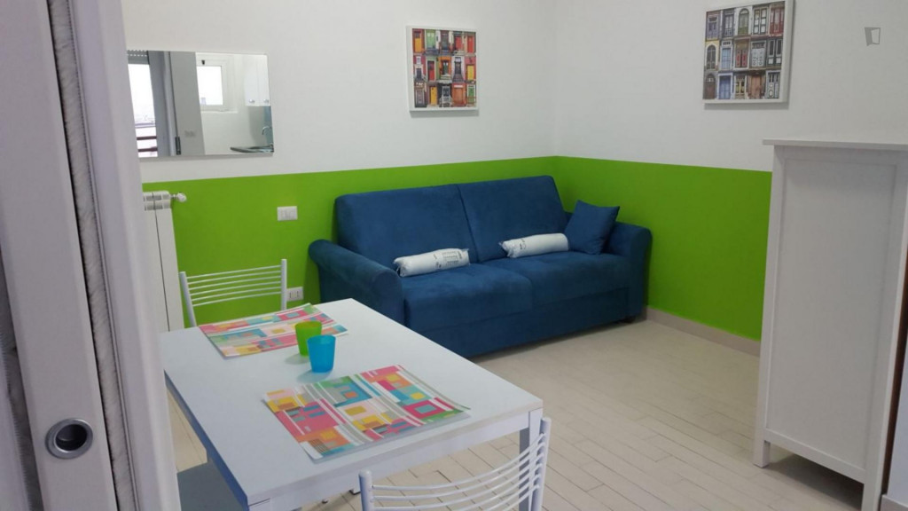 Spacious studio not far from Bocconi university  - Gallery -  1