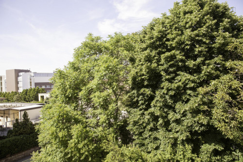 Inviting apartment 2-bedrooms near Basilica di Santa Maria dei Servi - Gallery - 12